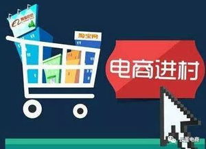 賈少華 農村電商是篇“好經”，莫讓電子商務技術將其“念歪”