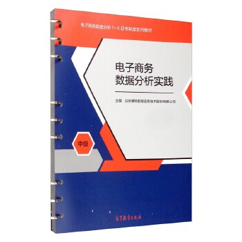 電子商務數據分析實踐 從理論到技能提升的路徑